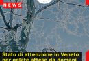 Stato di attenzione in Veneto per gelate attese da domani notte in tutta la regione