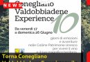 Torna Conegliano Valdobbiadene Experience, il Festival delle grandi emozioni.