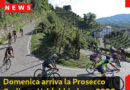 Domenica arriva la Prosecco Cycling a Valdobbiadene. 2000 appassionati pronti al via