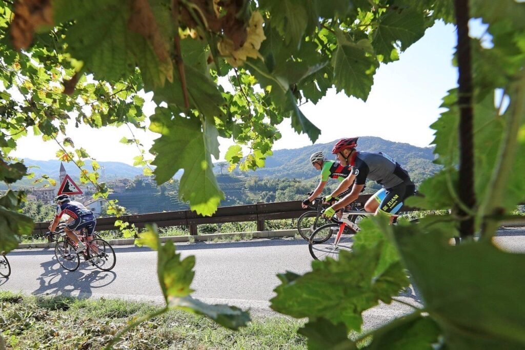 Prosecco Cycling