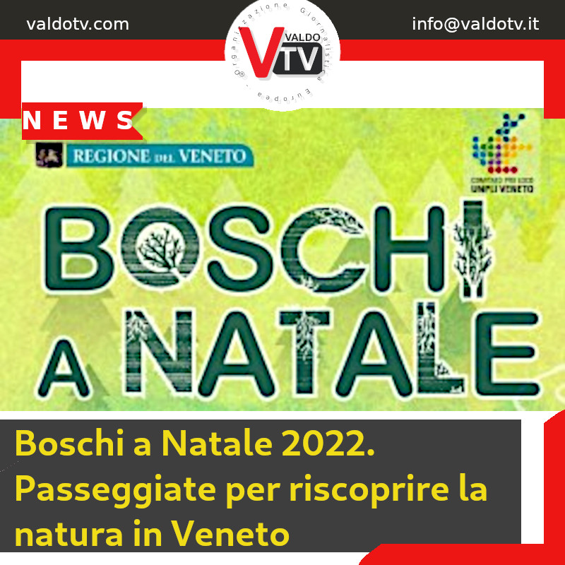 Boschi a Natale 2022. Passeggiate per riscoprire la natura in Veneto