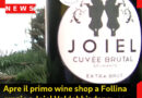 Apre il primo wine shop a Follina grazie a Joiel Valdobbiadene Prosecco Superiore