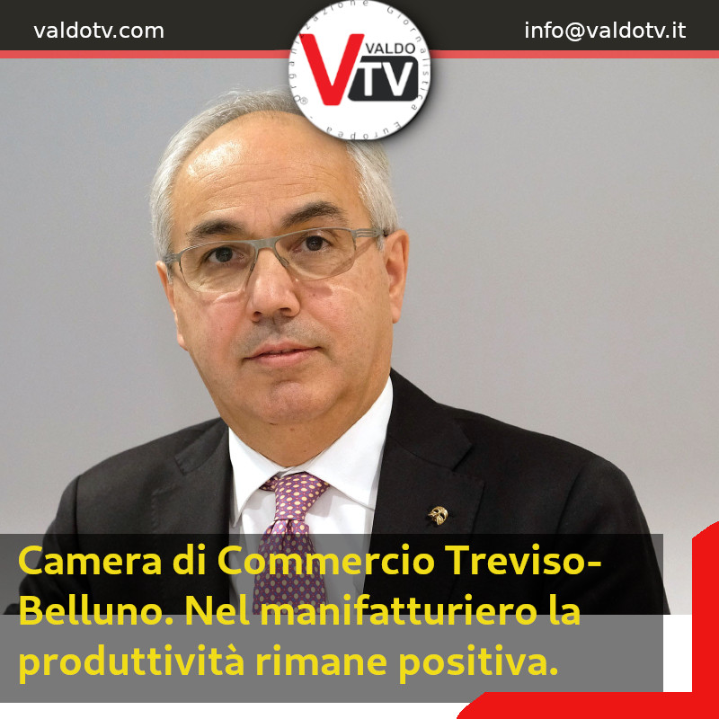 Camera di Commercio Treviso-Belluno. Nel manifatturiero la produttività rimane positiva.