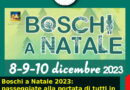Boschi a Natale 2023: passeggiate alla portata di tutti in parchi e luoghi incontaminati del Veneto